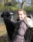 news_zoo